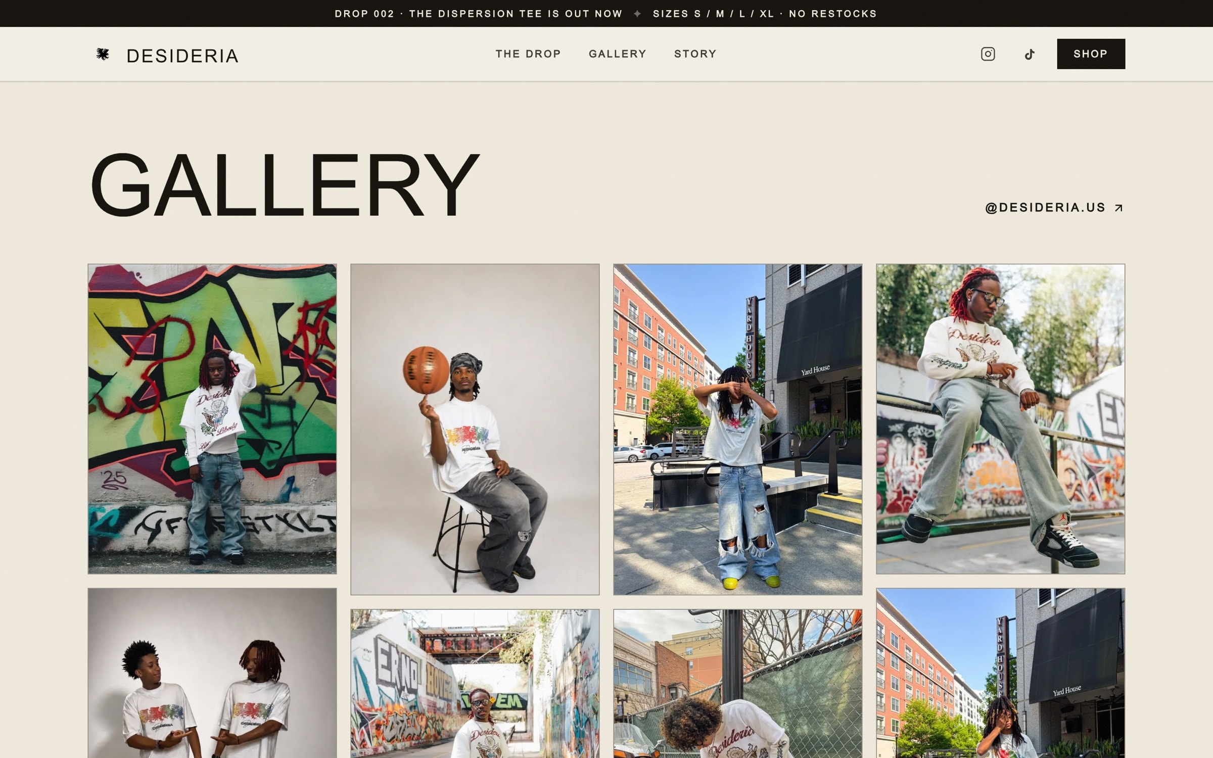 Desideria gallery of styled clothing photographs
